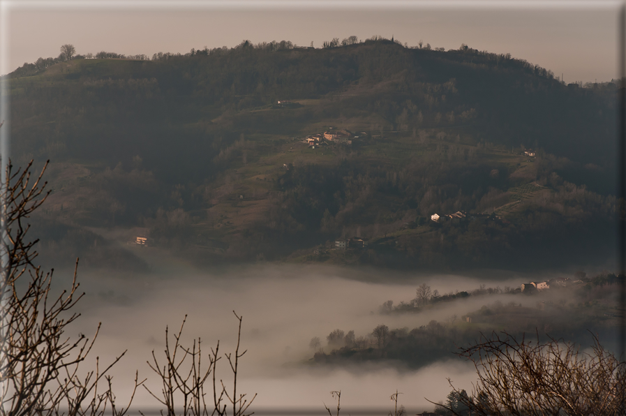 foto Colline Marosticane nella Nebbia